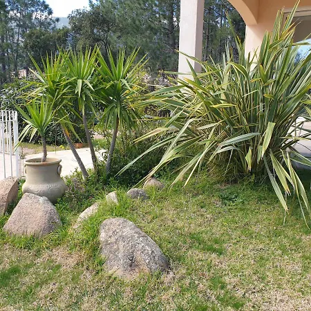 Ribba 10 Pers Piscine 5 Min En Voiture * Porto-Vecchio (Corsica)