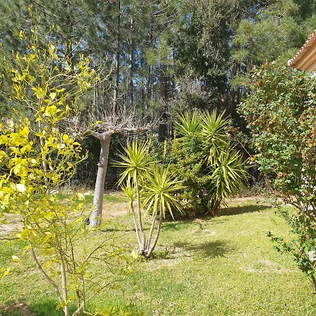 וילה Ribba 10 Pers Piscine 5 Min En Voiture